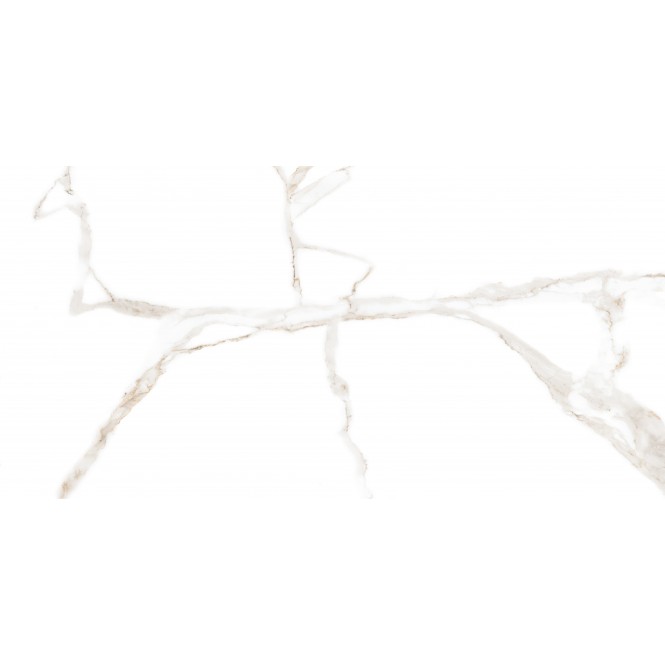 Carrara white matt 60x120