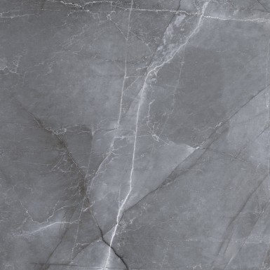 Scale silver polished 60x60