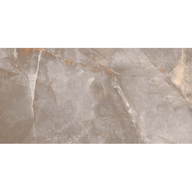 Scale gray matt 60x120