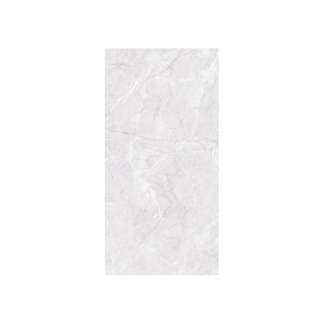LOZANA GREY POLISHED 60X120