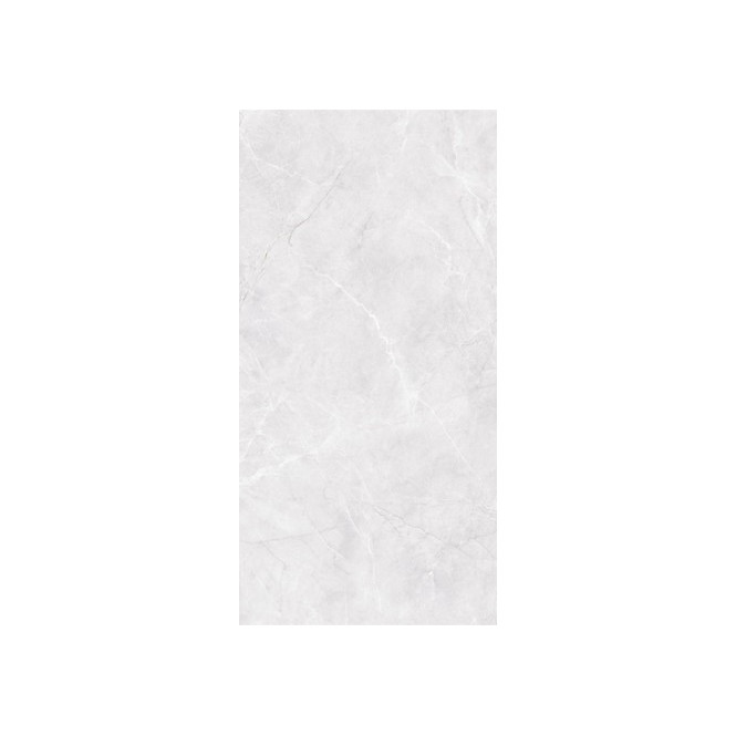 LOZANA GREY POLISHED 60X120