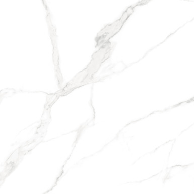 ARISTON WHITE MATT CARVING 120X120