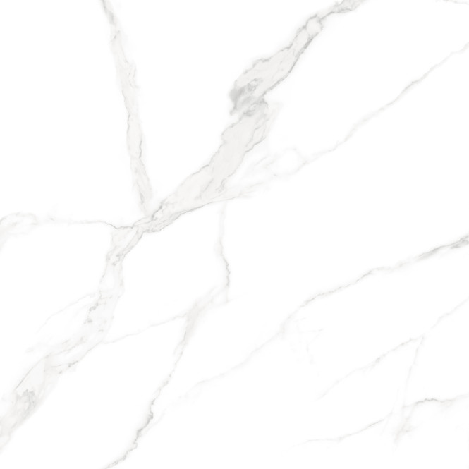 ARISTON WHITE MATT CARVING 120X120