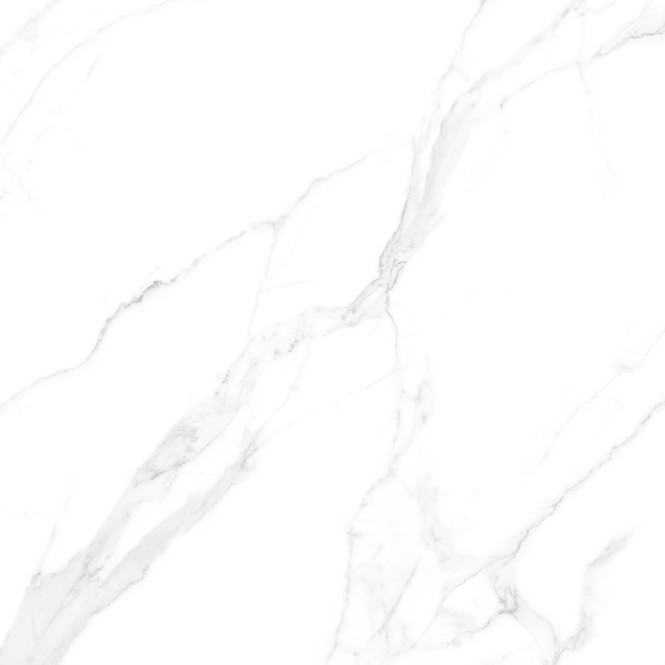 ARISTON WHITE MATT CARVING 120X120