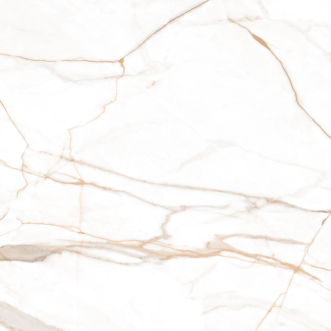 Marmo Gold Polished 120X120