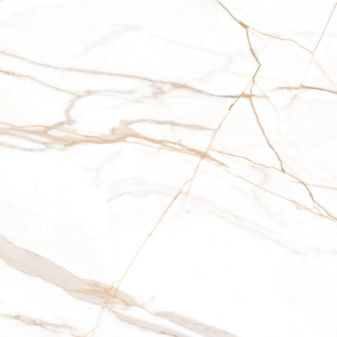 Marmo Gold Polished 120X120