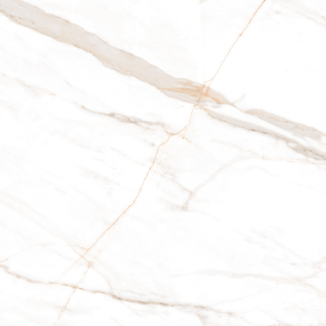 Marmo Gold Polished 120X120