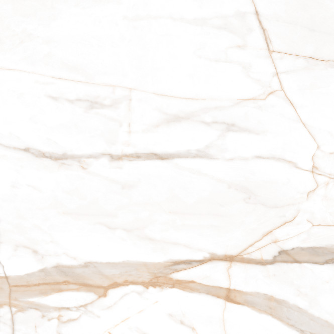 Marmo Gold Polished 120X120