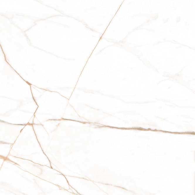 Marmo Gold Polished 120X120
