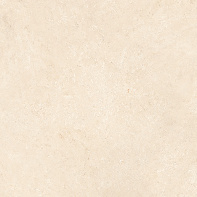 DENARI IVORY CARVING MATT 100X100